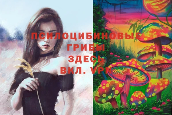 первитин Нягань