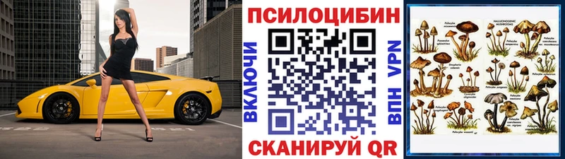 сайты даркнета официальный сайт  Томск  Галлюциногенные грибы прущие грибы 