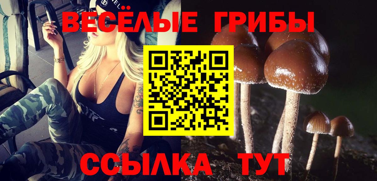Томск  Псилоцибиновые грибы Psilocybe  Вход с VPN 